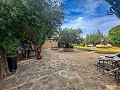 Incredible villa 10 minutes from the beach in Mutxamel in  Dream Villas Alicante