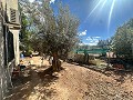 Maison de campagne à rénover à Jumilla in  Dream Villas Alicante