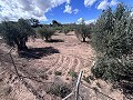 Maison de campagne à rénover à Jumilla in  Dream Villas Alicante