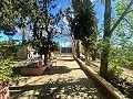 Maison de campagne à rénover à Jumilla in  Dream Villas Alicante