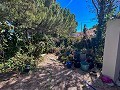 Geräumiges Landhaus mit 8 Zimmern zum Renovieren in Yecla in  Dream Villas Alicante