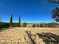 Geräumiges Landhaus mit 8 Zimmern zum Renovieren in Yecla in  Dream Villas Alicante