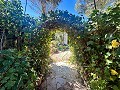 Geräumiges Landhaus mit 8 Zimmern zum Renovieren in Yecla in  Dream Villas Alicante