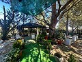 Geräumiges Landhaus mit 8 Zimmern zum Renovieren in Yecla in  Dream Villas Alicante
