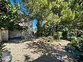 Geräumiges Landhaus mit 8 Zimmern zum Renovieren in Yecla in  Dream Villas Alicante