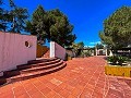 Mansion between Monóvar and Novelda in  Dream Villas Alicante