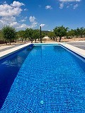 Impresionante villa virtual de nueva construcción a las afueras de Pinoso in  Dream Villas Alicante