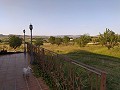 Ausgezeichnete Villa ganz in der Nähe von Yecla in  Dream Villas Alicante