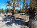 Große Villa mit 4 Schlafzimmern und 2 Bädern ganz in der Nähe von Yecla in  Dream Villas Alicante