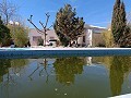 Große Villa mit 4 Schlafzimmern und 2 Bädern ganz in der Nähe von Yecla in  Dream Villas Alicante