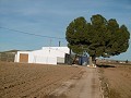 Large Country House with Pool & Vineyard in  Dream Villas Alicante