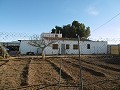Large Country House with Pool & Vineyard in  Dream Villas Alicante