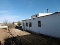 Large Country House with Pool & Vineyard in  Dream Villas Alicante