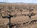 Large Country House with Pool & Vineyard in  Dream Villas Alicante