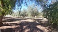 Schöne Landvilla mit Pool und Grundstück in  Dream Villas Alicante