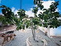 Encantadora villa ubicada en Agost in  Dream Villas Alicante