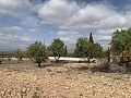 Country house with 4 bedrooms, Garage and Pool in  Dream Villas Alicante