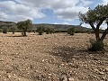 Country house with 4 bedrooms, Garage and Pool in  Dream Villas Alicante