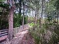 Magnífico campo con potencial de reforma en Almansa  in  Dream Villas Alicante
