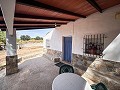 Magnífico campo con potencial de reforma en Almansa  in  Dream Villas Alicante