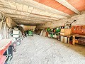 Magnífico campo con potencial de reforma en Almansa  in  Dream Villas Alicante