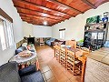 Magnífico campo con potencial de reforma en Almansa  in  Dream Villas Alicante