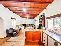 Magnífico campo con potencial de reforma en Almansa  in  Dream Villas Alicante
