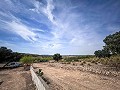 Magnífico campo con potencial de reforma en Almansa  in  Dream Villas Alicante