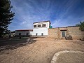 Magnífico campo con potencial de reforma en Almansa  in  Dream Villas Alicante