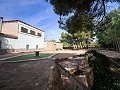 Magnífico campo con potencial de reforma en Almansa  in  Dream Villas Alicante