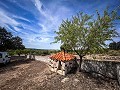 Magnífico campo con potencial de reforma en Almansa  in  Dream Villas Alicante