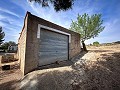 Magnífico campo con potencial de reforma en Almansa  in  Dream Villas Alicante