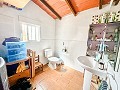 Magnífico campo con potencial de reforma en Almansa  in  Dream Villas Alicante