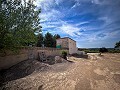 Magnífico campo con potencial de reforma en Almansa  in  Dream Villas Alicante
