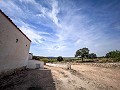 Magnífico campo con potencial de reforma en Almansa  in  Dream Villas Alicante
