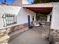 Magnífico campo con potencial de reforma en Almansa  in  Dream Villas Alicante