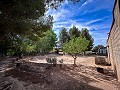Magnífico campo con potencial de reforma en Almansa  in  Dream Villas Alicante