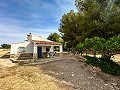 Magnífico campo con potencial de reforma en Almansa  in  Dream Villas Alicante