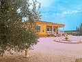 Villa in Torre Del Rico - Wiederverkauf in  Dream Villas Alicante