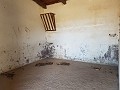 Traditioneel boerderijlandgoed met 30 slaapkamers in  Dream Villas Alicante