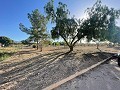 Land in Ubeda in  Dream Villas Alicante