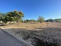 Land in Ubeda in  Dream Villas Alicante