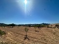 Schönes Baugrundstück in Macisvenda in  Dream Villas Alicante