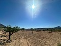 Schönes Baugrundstück in Macisvenda in  Dream Villas Alicante