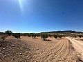 Preciosa parcela para constuir en Cañada Del Trigo in  Dream Villas Alicante