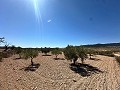 Preciosa parcela para constuir en Cañada Del Trigo in  Dream Villas Alicante