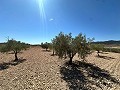 Preciosa parcela para constuir en Cañada Del Trigo in  Dream Villas Alicante