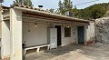 Höhlenhaus mit 3 Schlafzimmern in der Nähe von Pinoso in  Dream Villas Alicante