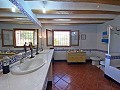 Landhaus mit 4 Schlafzimmern, 4 Minuten außerhalb von Pinoso in  Dream Villas Alicante