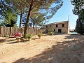 Landhaus mit 4 Schlafzimmern, 4 Minuten außerhalb von Pinoso in  Dream Villas Alicante
